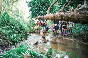 BIB: 
                            <button type="button" onclick="openModal(25514829)" class="btn btn-primary btn-sm float-right btn-popup" data-toggle="modal" data-target=".modal-high-quality">
                        <i class="fas fa-shopping-cart"></i> Add to Cart
                    </button>
                                            <button type="button" onclick="isThisMe(25514829, true)" class="btn btn-success btn-sm float-right btn-popup btn-isme hidden" data-toggle="tooltip" data-placement="bottom" title="นี่คือรูปของคุณใช่ไหม คลิกที่นี่เพื่อเอาเข้าอัลบั้ม">
                        <i class="fas fa-plus"></i> Add to album
                    </button>
                    <button type="button" onclick="isThisMe(25514829, false)" class="btn btn-warning btn-sm float-right btn-popup btn-isnotme hidden">
                        <i class="fas fa-ban"></i> Remove from album
                    </button>